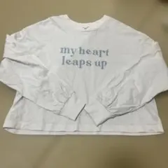 Item thumbnail for item 70119572-f78f-4328-aa63-254e86aaa652