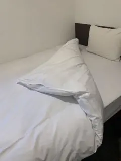 羽毛布団 未使用