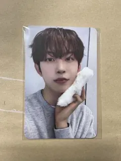 ALD1 ゴヌ トレカ EUPHORIA mnet plus march限定特典