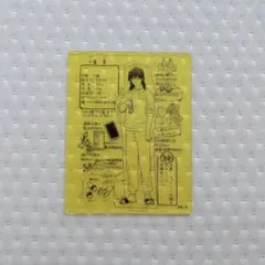 ヴァンガード ちほうカップ金沢 ライカ幻影 スリーブ - メルカリ