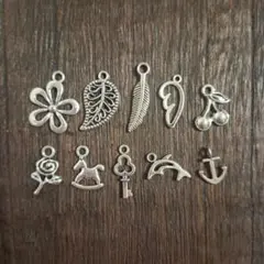 シルバーカラーチャーム 10点セット 花 葉 羽 天使の羽 いかり 鍵 イルカ