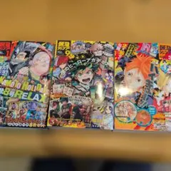 ジャンプ流 DVD付分冊マンガ講座 専用バインダー 3冊セット - メルカリ