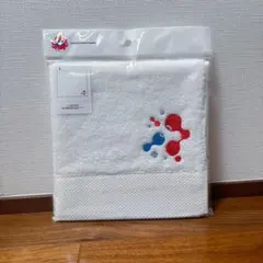 Item thumbnail for item 8f762f78-00a4-407c-98a0-3038b4df3681