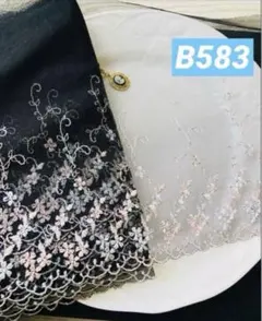 Item thumbnail for item 007141f7-d3b8-4600-8c44-a1868cbcf16a