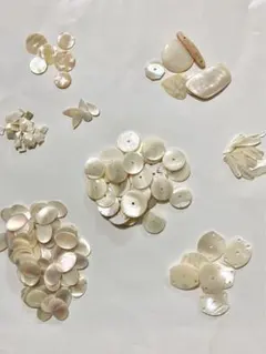 お値下げ！シェル　貝