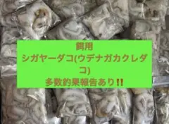 2026年最新】シガヤーの人気アイテム - メルカリ