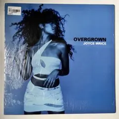 洋楽 JOYCE WRICE / ON ONE On One - Single by Joyce Wrice | Spotify