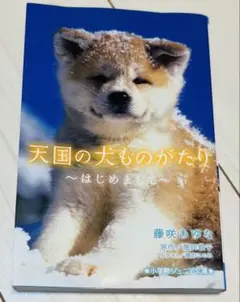 天国の犬ものがたり ～はじめまして～