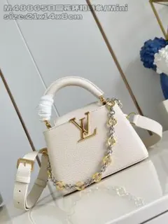 Louis Vuitton M48865 ミニショルダーバッグ
