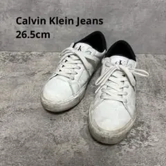 カルバンクラインジーンズ CKロゴ レザースニーカー ホワイト　白 26.5cmのサムネイル