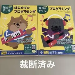 毎日のドリル はじめてのプログラミングとプログラミング2冊セット