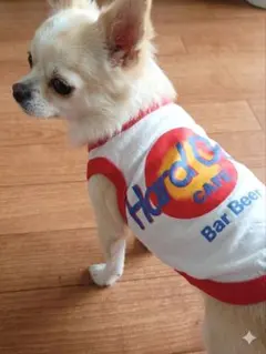 Item thumbnail for item 2eb085a8-c8ef-4f9c-989a-1ece0567dac5