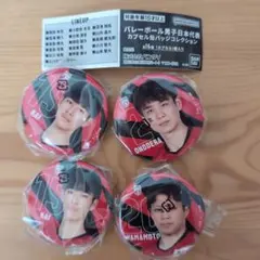 バレーボール 男子日本代表 カプセル缶バッジ 4個セット