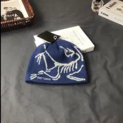 arc'teryx ニット帽