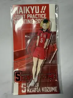 ハイキュー!! 合同練習会 2022 孤爪研磨 アクリルスタンド