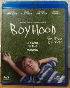 6才のボクが、大人になるまで。BOYHOODパトリシアアークエットイーサンホーク