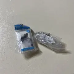 nepia 鼻セレブ　ミニチュアチャーム　2種