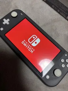 Nintendo Switch Lite グレー 動作確認済み