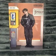 StrayKids リノ ラントレ