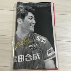 2025年最新】ウルフドッグス名古屋 タオルの人気アイテム - メルカリ