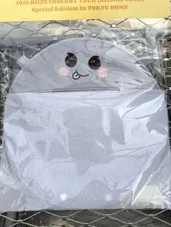 RIIZE 東京ドームグッズ　うちわホルダー＆ストラップセット　ウンソク