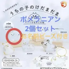 【未開封】うちの子のけだまだま　犬　ポメラニアン　2個セット　お名前ビーズ付き