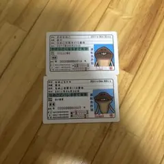 おおなめこ、なめこモドキ免許証