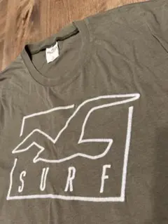 HOLLISTER SURF Tシャツ Lサイズ