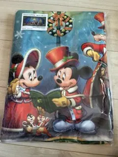 東京ディズニーシー 25周年 ワイドバスタオル ミッキー ミニー 2枚