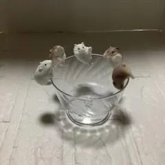 ハムスター カプセルトイ