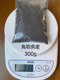 砂鉄　約300g