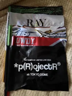 THE RAMPAGE フラッグセット