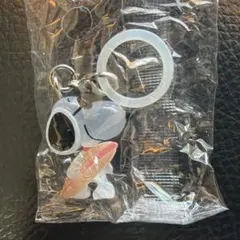 スヌーピー めじるしアクセサリー カプセルトイ