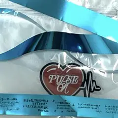 TREASURE TOUR PULSE ON IN JAPAN 銀テ（1セット）