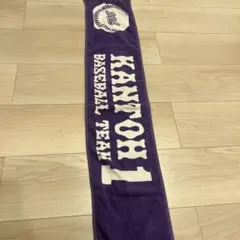 甲子園タオル 応援グッズ