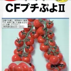 まきゆの様 リクエスト 3点 まとめ商品