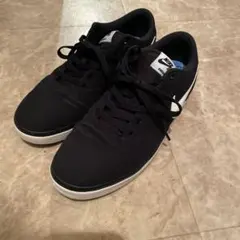 NIKE CHECK スニーカー　スケートボード