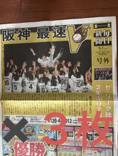 阪神タイガース リーグ優勝毎日新聞 9月7日付号外✖️3枚