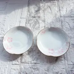 【訳あり特価】深川製磁 桜柄 小皿 2枚セット 金彩 金縁 有田焼 和食器