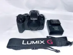 2026年最新】LUMIX DMC-G8の人気アイテム - メルカリ