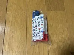 サンリオキャラクターズレトロレッスンバッグミニキーホルダー ガチャ