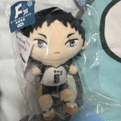 【新品未使用】ぬいもっちマスコット　赤葦京治　F賞