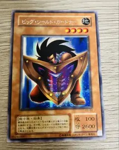 ビッグ•シールド•ガードナー　シークレット