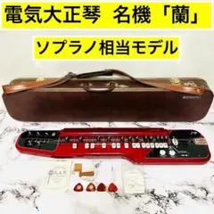 2026年最新】スズキ 大正琴 蘭の人気アイテム - メルカリ