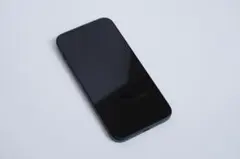 Apple iPhone 15 Plus ブラック 本体 256gb ケース付き