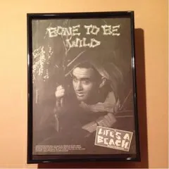 OLDSTUSSYファン必見非売品HUGEポスター WORLDTRIBEポスター OLDSTUSSYファン必見非売品HUGEポスター WORLDTRIBEポスター