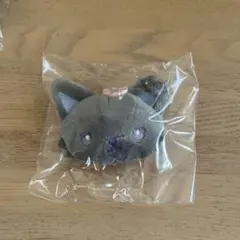 JOCHUM ブローチ ピーハイ