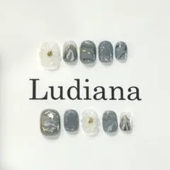 Ludiana ブルーとホワイトのマーブルネイルチップセット