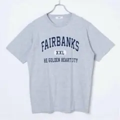 WEGO ウィゴー　Tシャツ ビックロゴ　Mサイズ　杢グレー