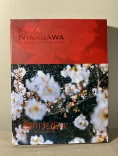 蜷川実花展 図録 地上の花、天上の色／写真集・アートブック